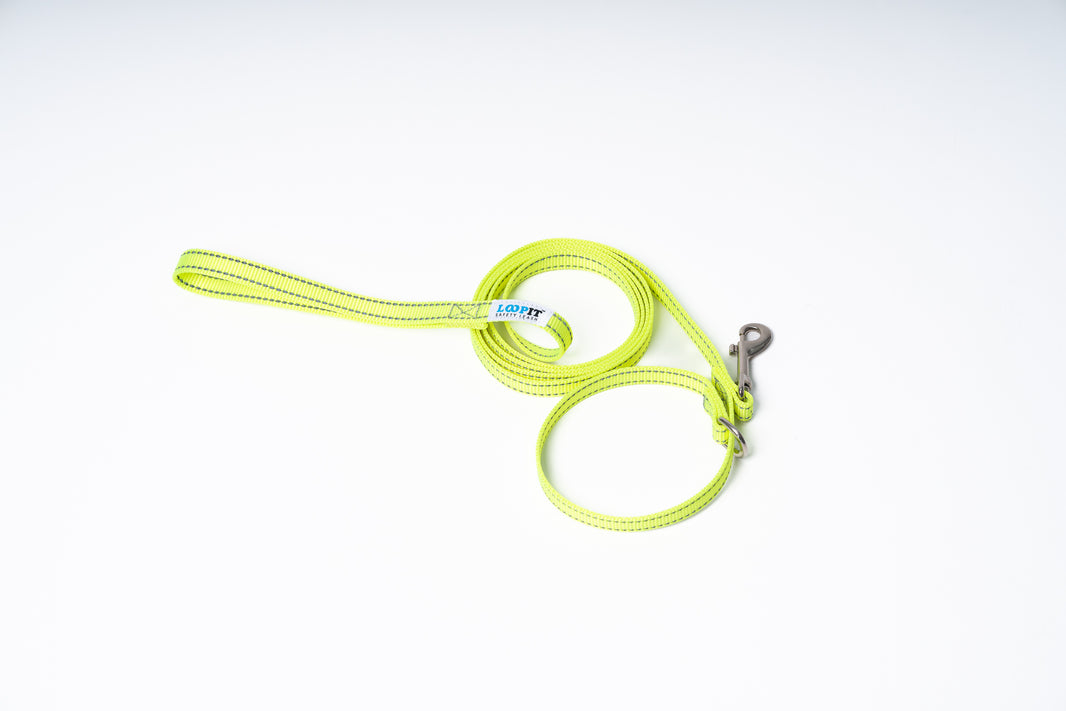 Bainbridge Car Safety Lead Med-Large