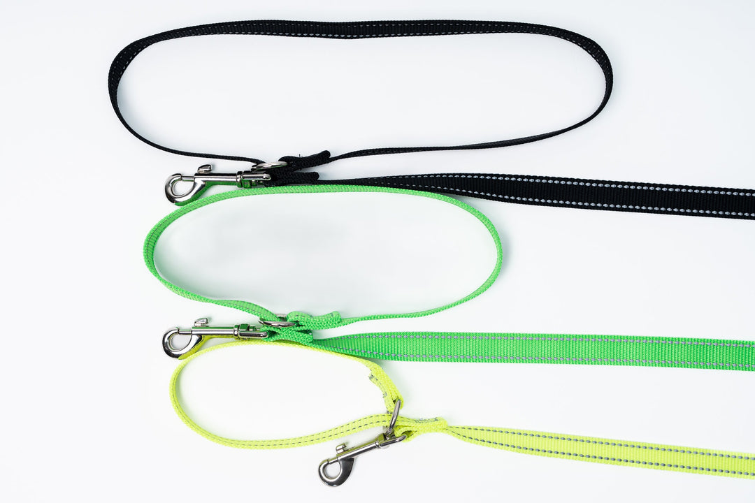 Loopit Safety Leash Starter Pack (3 leashes)