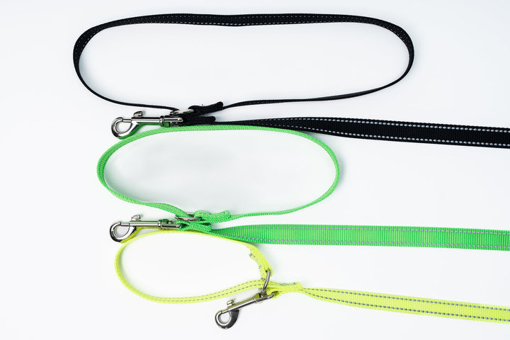 Loopit Safety Leash Starter Pack (3 leashes)
