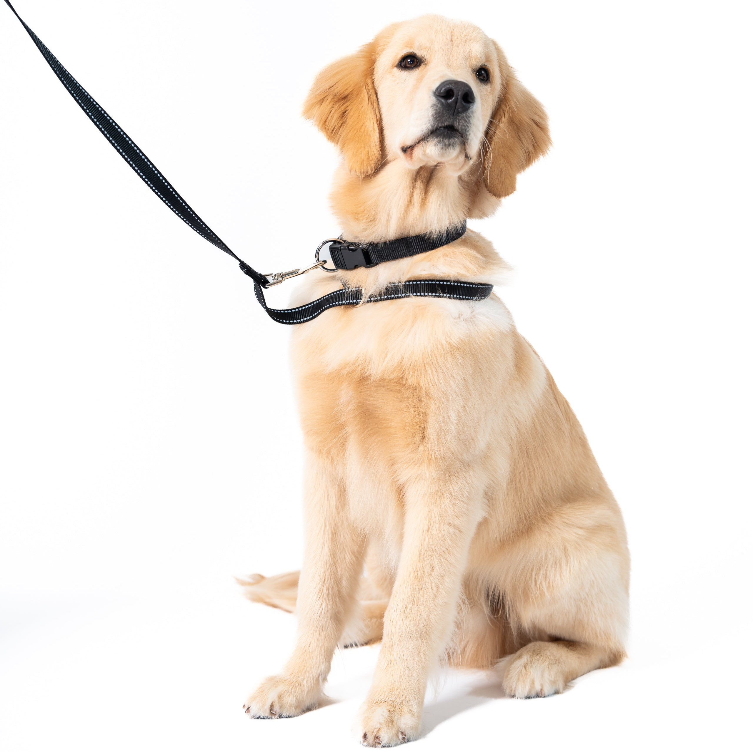 Loopit Safety Leash - large