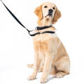 Loopit Safety Leash - large