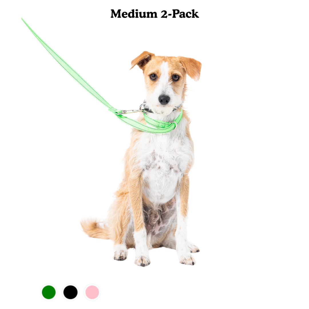 Loopit Safety Leash - Medium Bundle of 2
