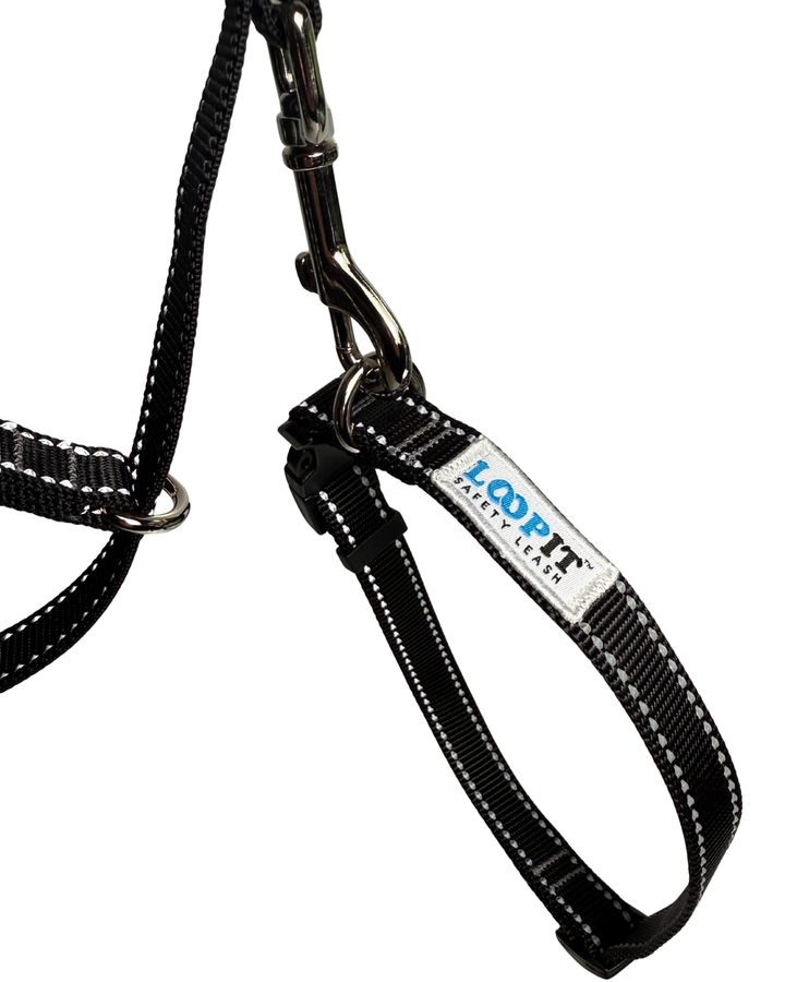 Reflective Dog Collar