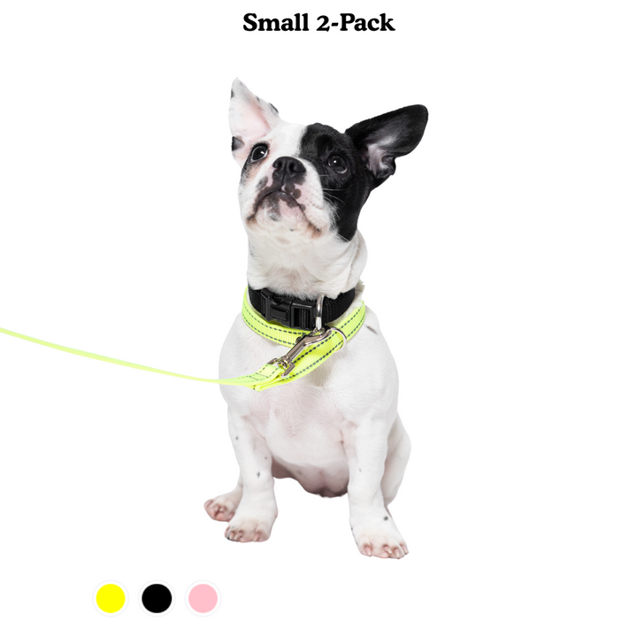 Loopit Safety Leash - Small Bundle of 2