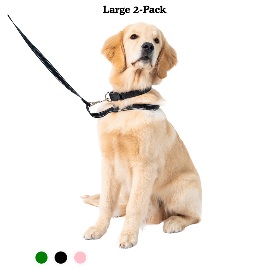 Shop Loopit Safety Leash – The Only Backup Safety Dog Leash