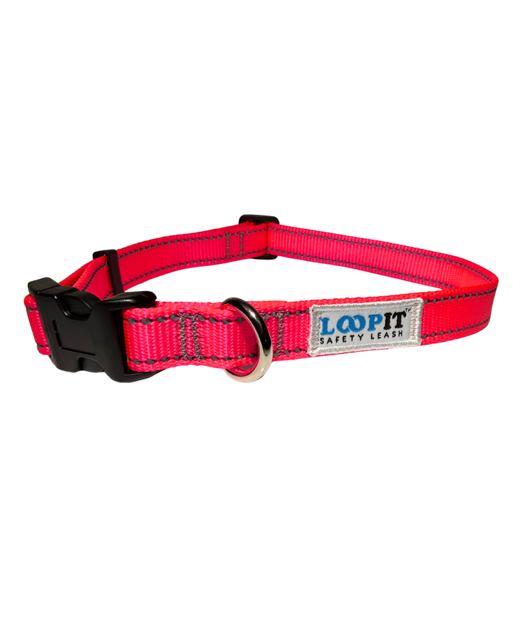 Reflective Dog Collar
