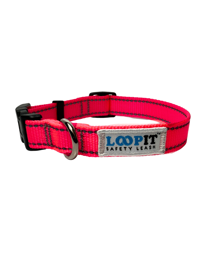 Reflective Dog Collar